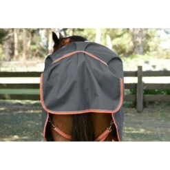 Weatherbeeta Comfitec Essential Plus Standard Neck Lite - Grey/Orange/Blue 13 Weatherbeeta Comfitec Essential Plus Standard Neck Lite - Grey/Orange/Blue -Equestrian Supplies 686201 800 800