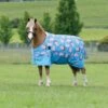 Saxon 600D Pony Standard Neck Medium - Pig Print -Equestrian Supplies 707813 800 800