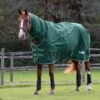 Saxon Defiant 1200D Combo Neck Heavy - Hunter Green/White -Equestrian Supplies 707872 800 800