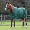 Saxon Defiant 1200D Standard Neck Medium - Hunter Green/White -Equestrian Supplies 707956 800 800